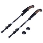 Hole Rock Empire Deer 3.0