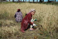 Pamir_cu_Gruezi_Bag (6)