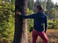 Jak_odstranit_smulu (1)