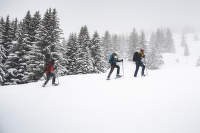 Jak wyposażyć się na zimową wędrówkę