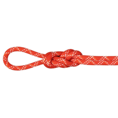 Lina Mammut 9.5 Gym Classic Rope 3790 raspberry-white
