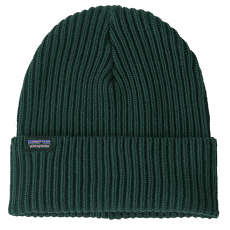 Czapki Patagonia Fishermans Rolled Beanie Cascade Green