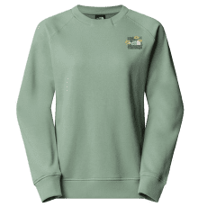 Bluza The North Face CONNECT RELAXED CREW SWEATSHIRT-GRAPHI Women BQ1 SLATE MOSS