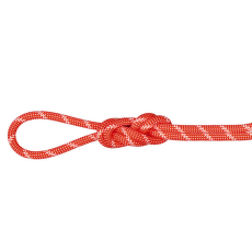 Lina Mammut 8.0 Alpine Classic Rope assorted 9000