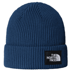 Czapki The North Face SALTY LINED BEANIE SHADY BLUE
