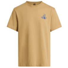 Koszulka z krótkim rękawem The North Face Mountain Celebration Regular SS Tee - Graphic Men Khaki Stone
