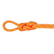 Lina Mammut 9.5 Alpine Dry Rope 2286 vibrant orange-zen