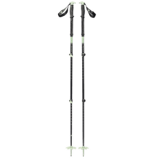 Hole Black Diamond EXPEDITION 3P SKI POLES Desert Sage