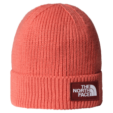 Czapki The North Face TNF LOGO BOX CUFFED BEANIE EED MARS DUST/SUMAC