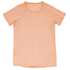 Koszulka z krótkim rękawem Devold Endurance Merino 130 Tee Women 102A  SUNRISE