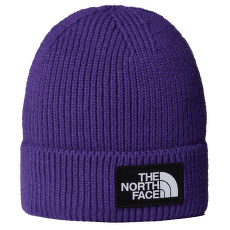 Czapki The North Face TNF LOGO BOX CUFFED BEANIE PEAK PURPLE