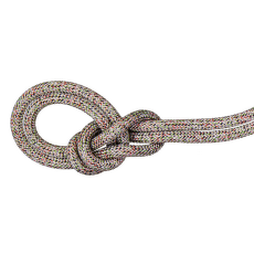 Lina Mammut 9.5 Crag We Care Classic Rope assorted 9000