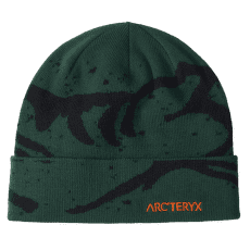 Czapki Arcteryx Grotto Toque Eden/Black