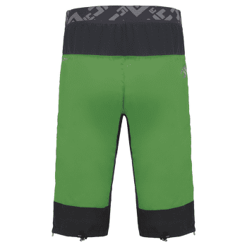 Szorty Direct Alpine Logan Alpha green/mango