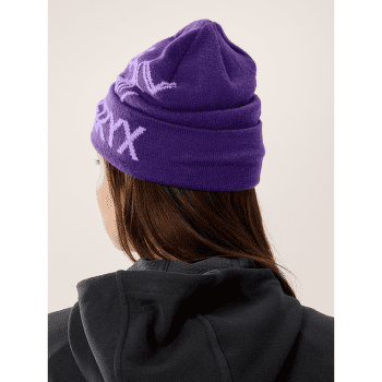 Czapki Arcteryx Bird Word Toque Azalea / Aster
