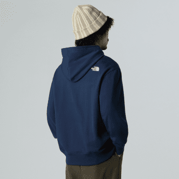 Bluza The North Face MOUNTAIN LOGO RELAXED HOODED SWEATSHIR Men Khaki Stone