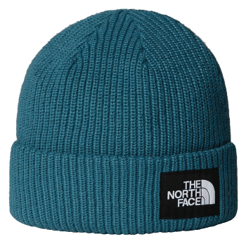 Czapki The North Face SALTY LINED BEANIE BQ5 SPACE