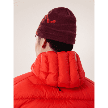 Czapki Arcteryx Bird Head Toque Euphoria / Olive Moss