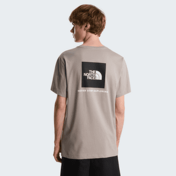 Koszulka z krótkim rękawem The North Face Evolution Box NSE Regular Short Sleeve Men Khaki Stone