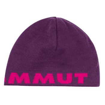 Czapki Mammut Mammut Logo Beanie (1191-04891) grape-pink