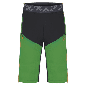 Szorty Direct Alpine Logan Alpha green/mango