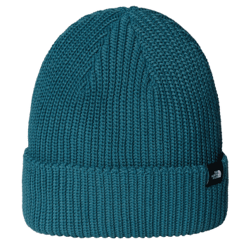 Czapki The North Face TNF Fisherman Beanie BQ5 SPACE