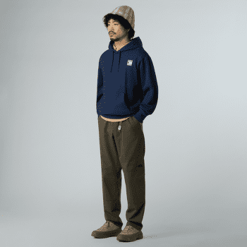 Bluza The North Face MOUNTAIN LOGO RELAXED HOODED SWEATSHIR Men Khaki Stone
