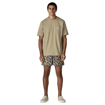 Szorty Patagonia Baggies Shorts - 5 in. Men Bundle Green