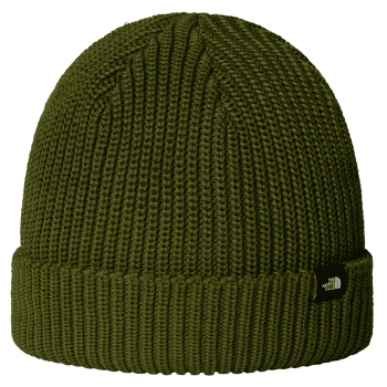 Czapki The North Face TNF Fisherman Beanie BRI WOODLAND GREEN
