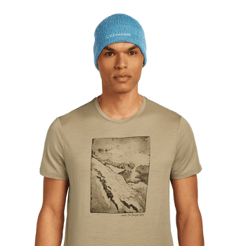 Czapki Icebreaker Merino All Day Toque Beanie Trail
