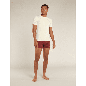 Koszulka z krótkim rękawem Icebreaker Anatomica SS Crewe Men (103033) UNDYED