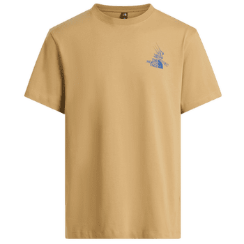 Koszulka z krótkim rękawem The North Face Mountain Celebration Regular SS Tee - Graphic Men Khaki Stone