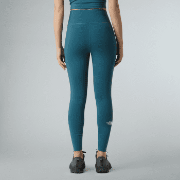 Legginsy The North Face FLEX WARM TIGHTS Women TNF BLACK