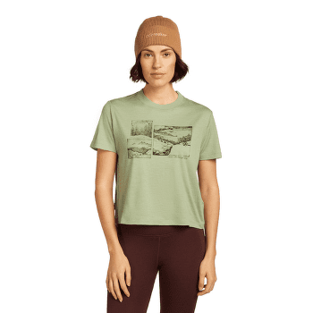 Czapki Icebreaker Merino All Day Toque Beanie Trail