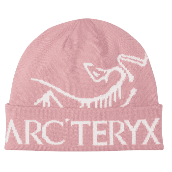 Czapki Arcteryx Bird Word Toque Bliss / Arctic Silk