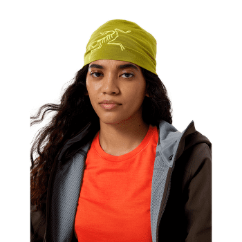 Czapki Arcteryx Satoro Merino Toque Olive Moss / Euphoria