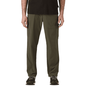 Spodnie Patagonia Outdoor Everyday Pants Men Classic Tan