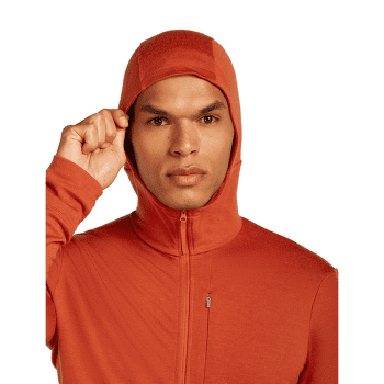 Bluza Icebreaker Merino 260 Quantum IV LS Zip Hoodie Men BITTERSWEET