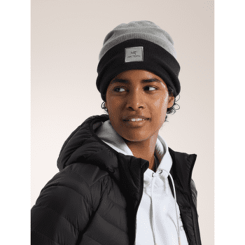 Czapki Arcteryx Color Block Toque Void / Black