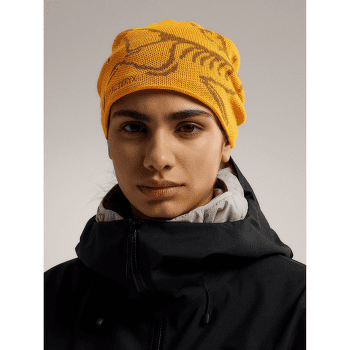 Czapki Arcteryx Bird Head Toque Dynasty / Arc Silk
