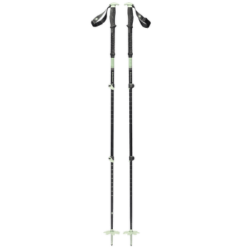 Hole Black Diamond EXPEDITION 3P SKI POLES Desert Sage