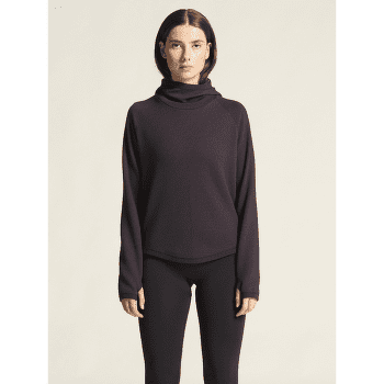 Koszulka z długim rękawem Craft Grid Hood Women DK PLUM