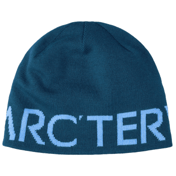 Czapki Arcteryx Word Head Toque Nightscape / Glacial