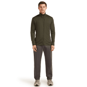 Pulower Icebreaker Merino 260 Quantum LS Zip Men DK LODEN