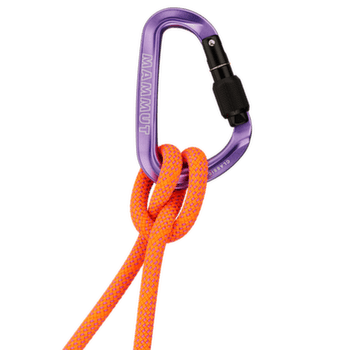 Karabinek wspinaczkowy Mammut Classic HMS Screwgate Carabiner Screw Gate alpine calamint