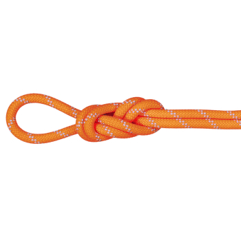 Lina Mammut 9.5 Alpine Dry Dry Standard 11256