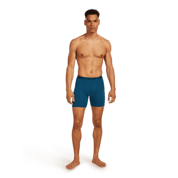 Bokserki Icebreaker Anatomica Long Boxers Men ATLANTIS