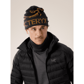 Szalik Arcteryx Rho Neck Gaiter Long Black