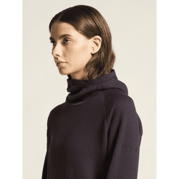 Koszulka z długim rękawem Craft Grid Hood Women DK PLUM