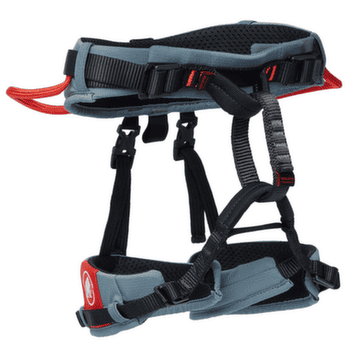 Siodło Mammut Ophir Kids 2.0 alpine calamint-mammut red